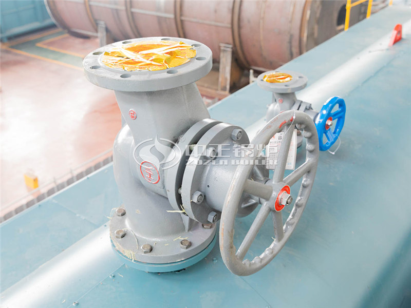 2000萬(wàn)大卡天然氣導(dǎo)熱油鍋爐多少錢(qián)合適