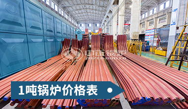 2 5t h生物質鍋爐