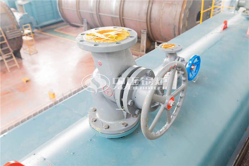 15T天然氣導熱油鍋爐出廠價